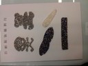 img-20130501-133948.jpg