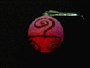 clp06846.gif