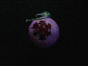 clp06847.gif