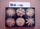 hr06-010.jpg